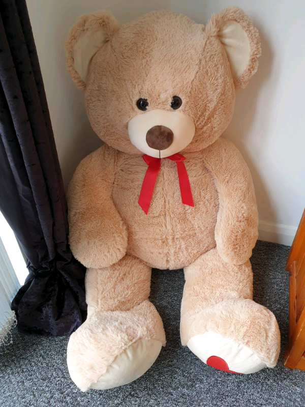 5.5 feet teddy bear